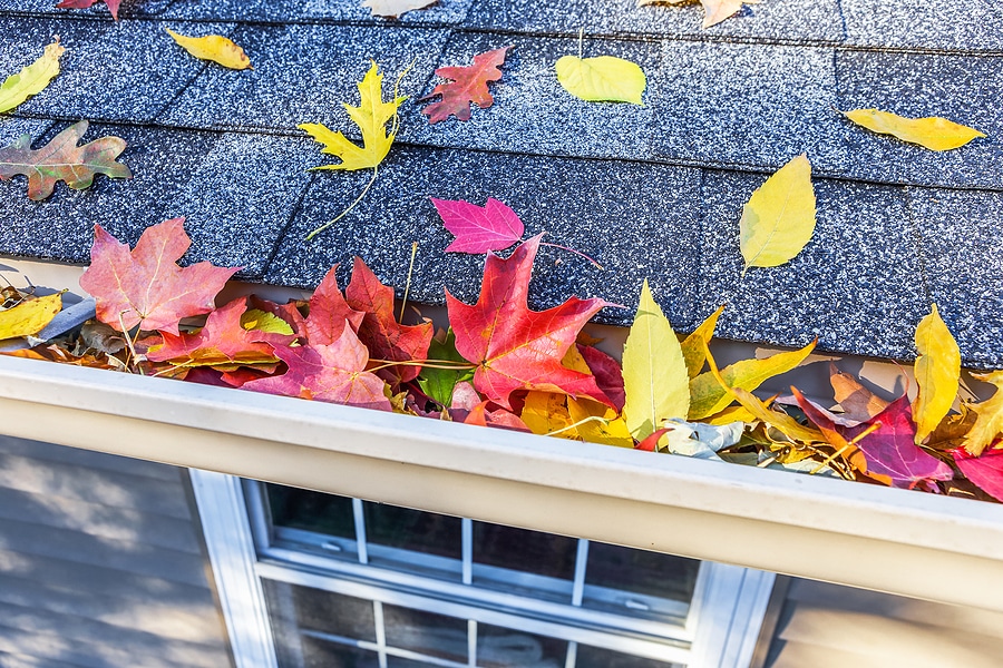 Fall Home Inspections: What to Expect and How to Prepare